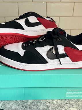 NIKE SB ALLEYOOP